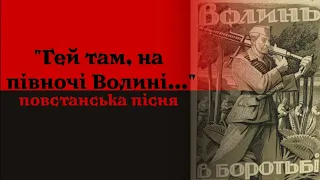 "Гей там, на півночі Волині..." - повстанська пісня | "Hey, in the north Volynia..." - UIA song