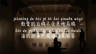 【白鸽-你的上好佳】BAI GE-NI DE SHANG HAO JIA /TIKTOK,抖音,틱톡/Pinyin Lyrics, 拼音歌词, 병음가사/No AD, 无广告, 광고없음