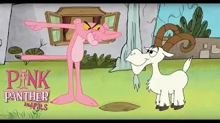 Pink Panther And The Annoying Goat| 35 Minute Compilation | Pink Panther & Pals