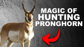 Magic of Hunting Pronghorn- Season 2: Episode 35