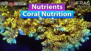 Nutrients - Coral Nutrition in a Saltwater Aquarium with Coral Euphoria and Frag Garage
