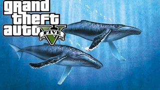 GTA V PS4 - Hammerhead Sharks and Humpback Whale ( Gaming Project )