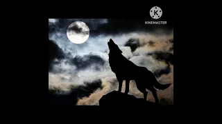 Night song of wolves/Moldavian Kaval.