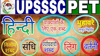 Upsssc pet 2023 | pet Hindi | All characters Hindi | pet Hindi master video |pet exam Hindi#petHindi