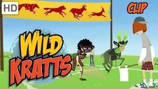 Wild Kratts - Olympic Medley: Racing, Diving and Swimming