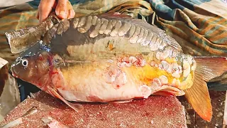 Incredible Mirror Carp Fish Cutting By Expert Fish Cutter | Amazing Fish Cutting Skills
