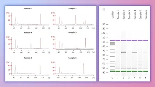 Forensic DNA Profiling, Part 3