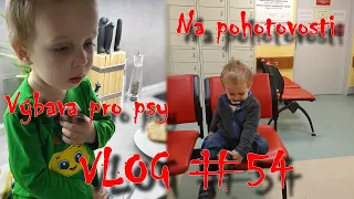 Na pohotovosti a úklid výbavy psů | VLOG #54