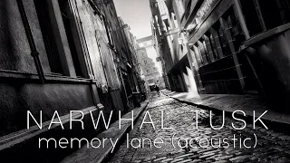 Narwhal Tusk – Memory Lane (Acoustic) [Lyric Video]