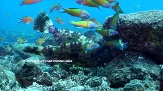 Fuerteventura - Vídeo promocional