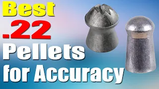 Top 5 Best .22 Pellets for Accuracy 2022