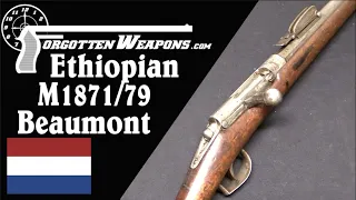 The Dutch Model 1871/79 Beaumont - from Ethiopia