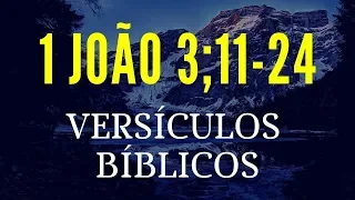 VERSÍCULOS BÍBLICOS - 1 João 3; 11-24