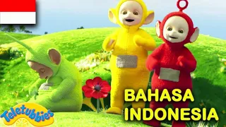 ★Teletubbies Bahasa Indonesia★ Lari-Lari - Memperbaiki - Diam | Kompilasi Kartun Lucu BARU 2020