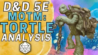 Tortle's Thick, Tough Defenses | D&D 5E Character Race Deep Dive