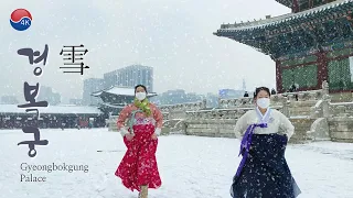 Winter Heavy Snowfall GYEONGBOKGUNG PALACE, Beautiful Snow Scenery.Women Wearing HANBOK, 폭설 내리는 고궁