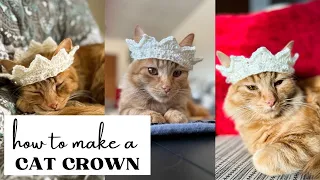 YOU NEED TO CROCHET THIS FOR YOUR CAT TODAY: CAT CROWN PATTERN