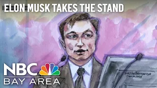 Elon Musk Takes Witness Stand to Defend Tesla Buyout Tweets