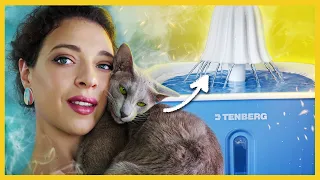 Зачем Кошке Питьевой Фонтанчик? Обзор Автоматической Поилки Для Кошек TENBERG Stream (отзыв)