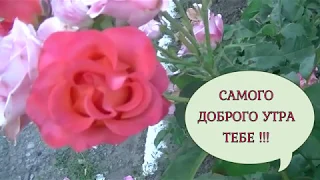 ДОБРОГО УТРА ТЕБЕ И  САМОГО  ЛУЧШЕГО НАСТРОЕНИЯ #