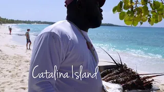 CATALINA ISLAND full tour with catamaran 🇩🇴 A true gem of the Dominican Republic