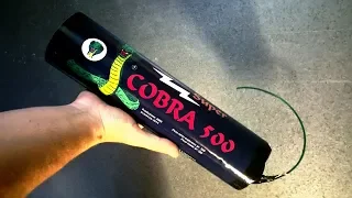 XXL COBRA POLENBÖLLER 500 GRAMM