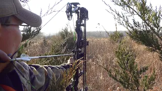 CRAZY STALK ON A GIANT BUCK! - Hunt Breakdown | Public Land Bowhunting