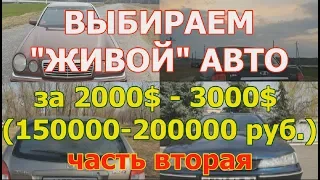 ВЫБИРАЕМ "ЖИВОЙ"АВТО за 2000$ -3000$ долларов или 150 000 -200 000 рублей из реальных автомобилей