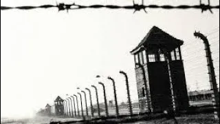 Testimoni di Auschwitz