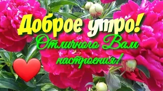 Доброе утро!  Красивая ПЕСНЯ! Музыкальная открытка С Добрым утром!Отличного вам настроения