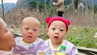 single mom build bamboo house ,while her baby was always crying,| Ly Thi Nhip