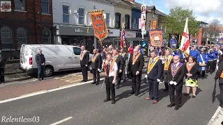 Britannia F.B. (No.1) @ Easter Tuesday Belfast J.L.O.L. Parade ~ Belfast 19/04/22 (4K)