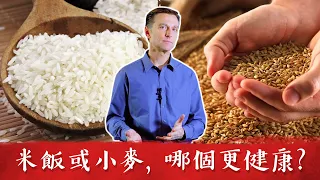 米飯小麥,哪個更健康?柏格醫生 Dr Berg