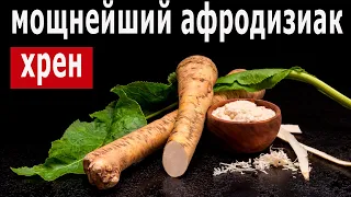 Хрен уникальный корень - Повышает потенцию, стимулирует иммунитет и не только