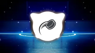 Hockey Warm Up Mix 2021 (EDM)