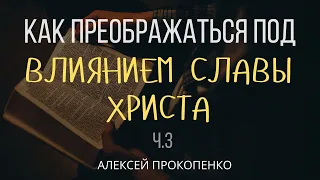 Как преображаться под влиянием славы Христа | 2 Петра 1:3 | Алексей Прокопенко