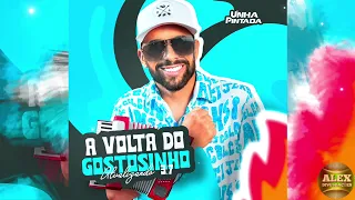 UNHA PINTADA_A VOLTA DO GOSTOSINHO_ATUALIZADO 3.7 (CD COMPLETO OFICIAL)