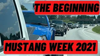 Lucifer Fox Makes Grand Entrance! [Mustang Week 2021-- We Made it!!!!]