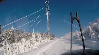 Съездил на Ваю за лесом. Помог туристам. Урал лесовоз.