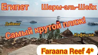 Самая безветренная бухта Египта. Пляж отеля Faraana Reef Resort, 4 звезды Египет, Шарм-эль-Шейх