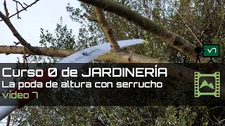 Cómo podar árboles altos con serrucho - Capítulo 7 - Curso básico de Jardinería 2020 | LdN