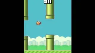 The real end of Flappy Bird lvl 1000 !!!!!!!! WORLD RECORD