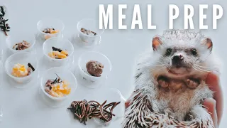 Hedgehog Meal Prep And Nutrition Details