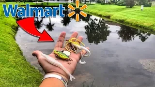CHEAPEST Walmart Fishing Lures CATCH FISH (SURPRISE Catch)