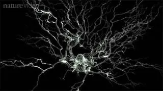 Method of the Year 2010: Optogenetics - by Nature Video