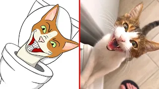 😂Cat Memes: Skibidi Toilet Cat and Funniest Dogs (updated)😅Trending Cats on TikTok 2023😹