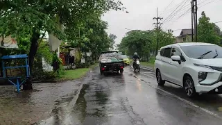 Walking in the rain | beautiful Indonesian countryside | heavy rain all day | Rain Sound | ASMR