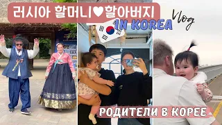 국제부부 | 러시아 부모가 한국 전통 체험 | 롯데 아쿠아리움, 한국민속촌, 해리포터카페. 하루같은 3주가 끝났어요