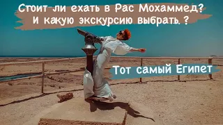 Рас Мохамед, Какие экскурсии есть в заповедник? Экскурсии в Шарм Эль Шейх.