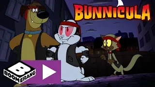 Bunnicula | Bunnicula's Gang: The Bunny Boys | Boomerang UK 🇬🇧